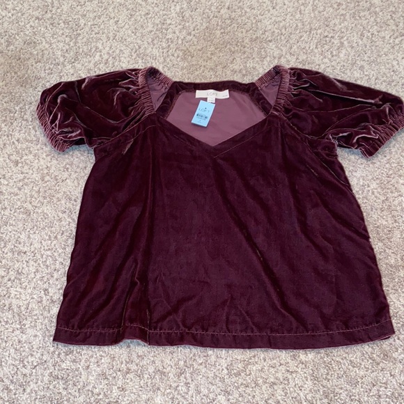 Velvet puff sleeve LOFT top - Picture 4 of 9